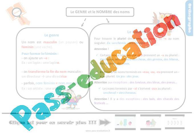 Bilan sur le genre et nombre des noms au Cm2 – Evaluation avec la