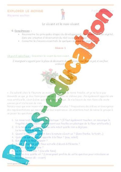 Image de la ressource