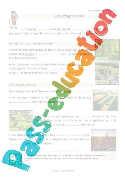 Image de la ressource
