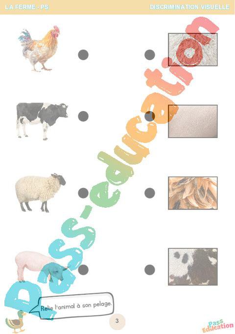 Les animaux de la ferme – PS – Fichier d’activités – Maternelle – Cycle ...