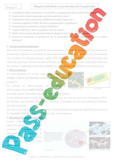 Image de la ressource