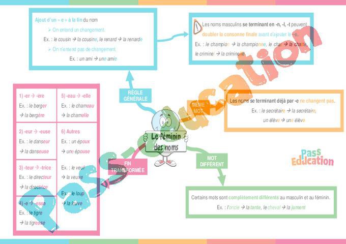 Féminin des noms – CM2 – Carte mentale – PDF à imprimer par Pass