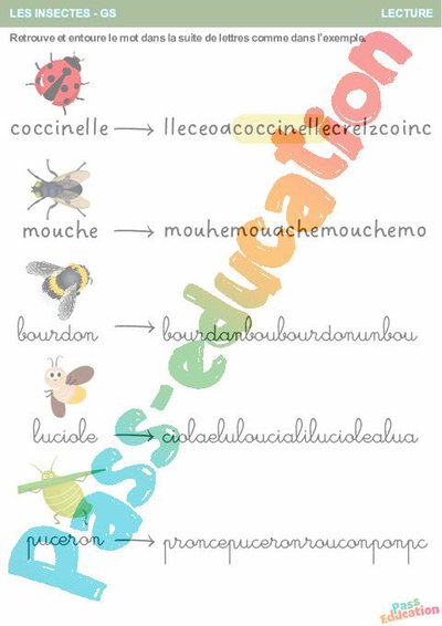 Image de la ressource
