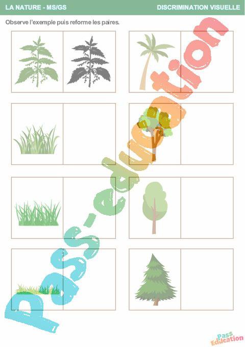 La nature – Discrimination visuelle – MS – GS – Maternelle – Cycle 1 ...