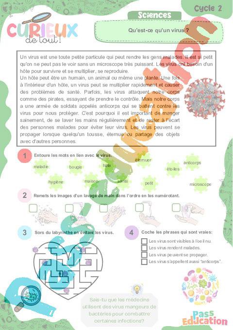 Qu’est-ce qu’un virus ? – Ce1 – Ce2 – Curieux de tout – Cycle 2 – PDF à ...
