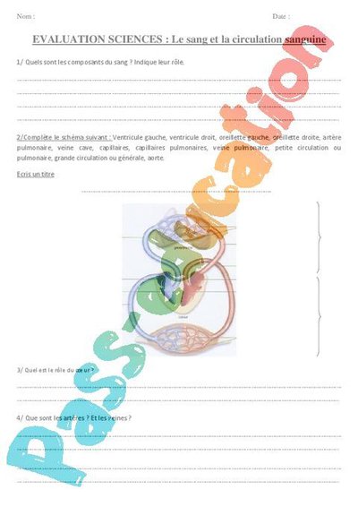 Image de la ressource