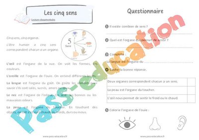 Image de la ressource