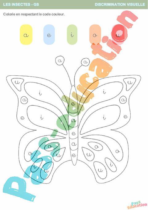 Le papillon – Les insectes – Discrimination visuelle – GS – Grande ...