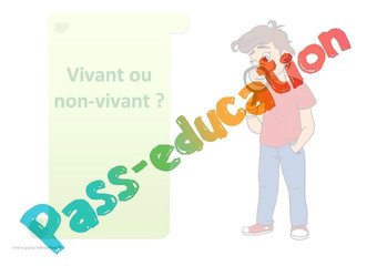 Image alternative
