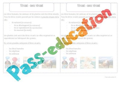 Image de la ressource