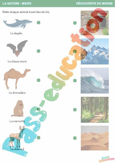 Image de la ressource