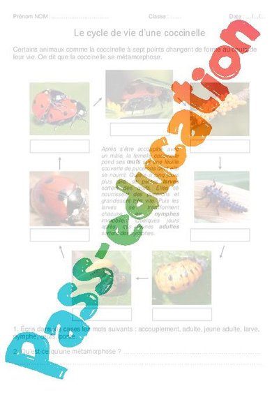 Image de la ressource