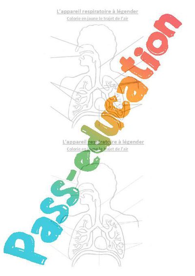 Image de la ressource