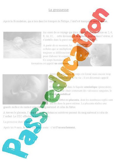 Image de la ressource