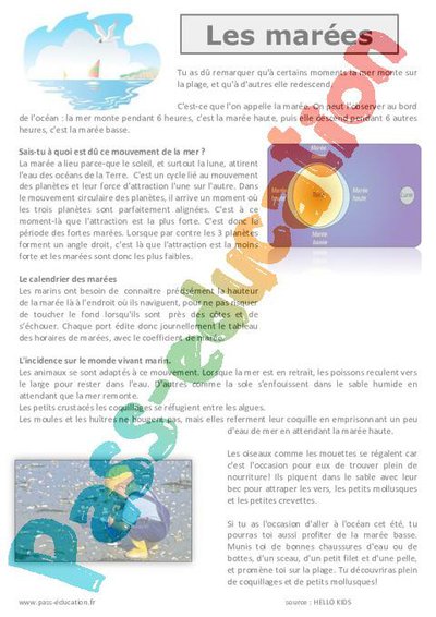 Image de la ressource