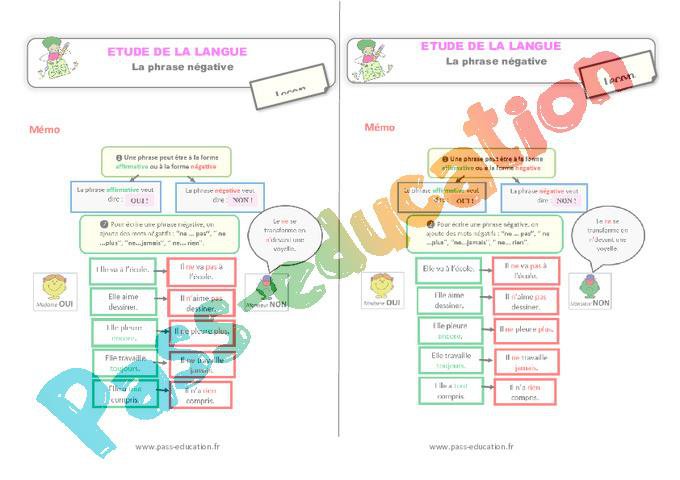 Les phrases négatives – Ce1 – Étude de la langue – Leçon – PDF gratuit