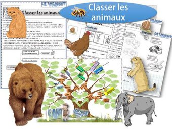 Image de DDM – Comment classer les animaux ?