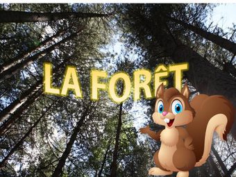 Image de La foret : activités cp/ce1/ce2